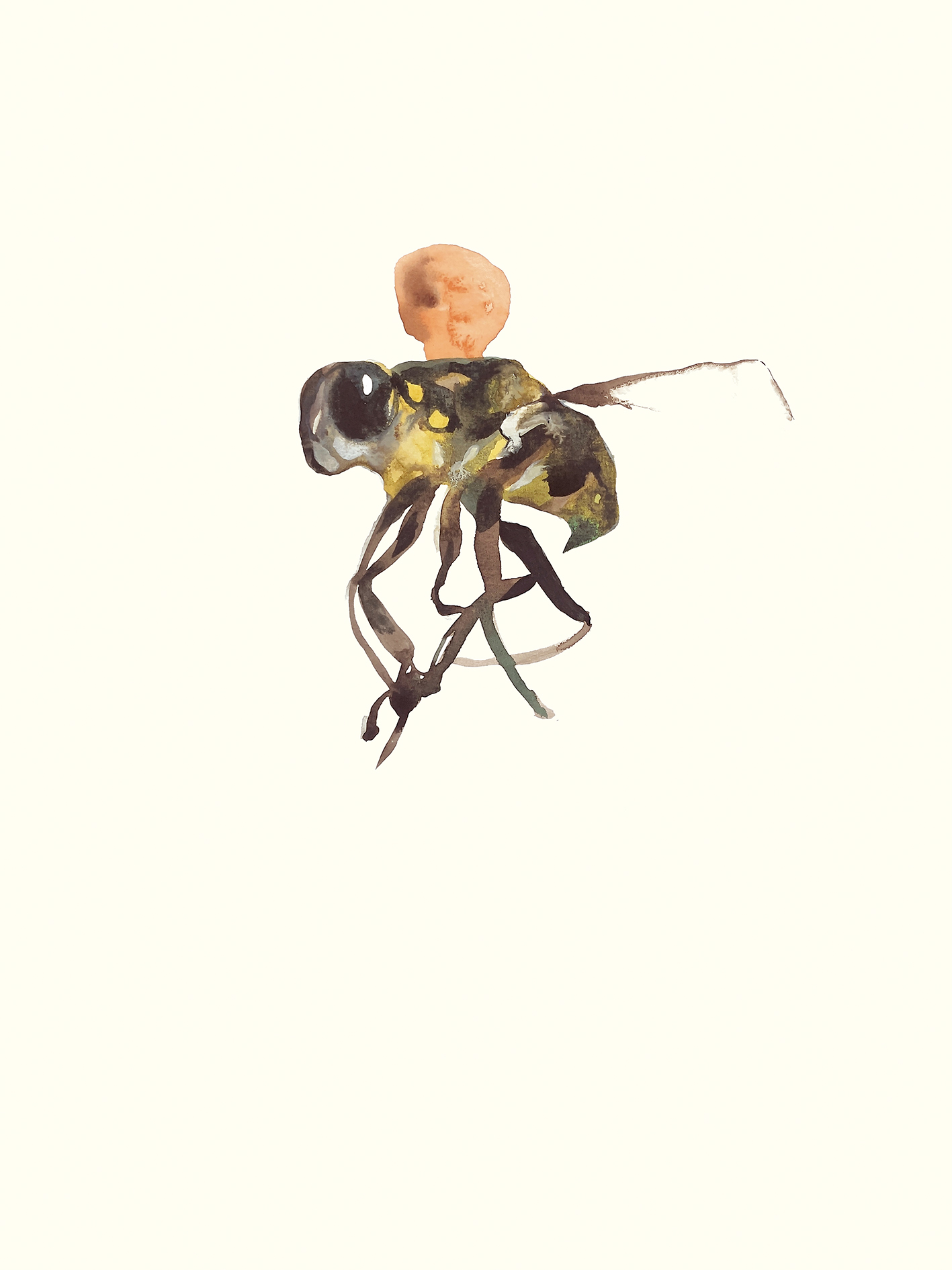 Fliegen